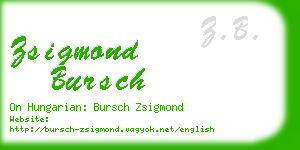zsigmond bursch business card